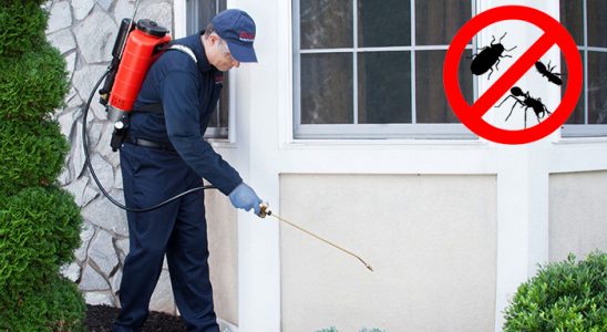 Keşap Kemirgen İlaçlama böcek ilaçlama ve haşere kontrolü — ilaclama-tr.com